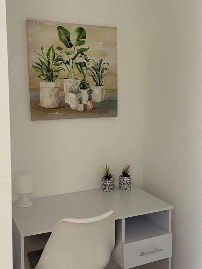 Dream House Cerenova Appartement Marina di Cerveteri Buitenkant foto